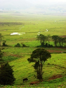 azacualpa valley