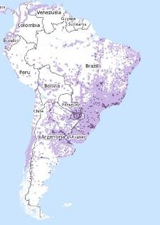 Mobile map